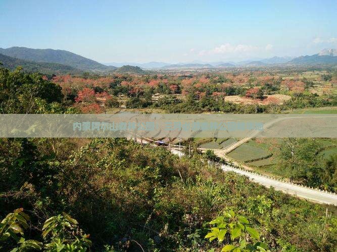 内蒙阿尔山森林公园：三月必游森林公园精华地