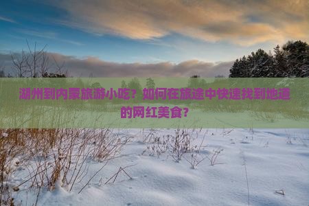 湖州到内蒙旅游小吃？如何在旅途中快速找到地道的网红美食？
