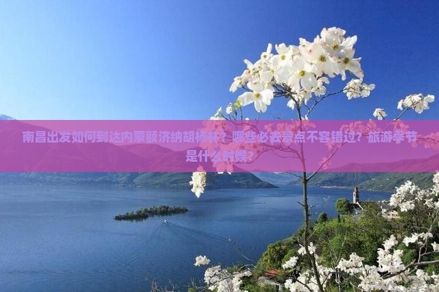 南昌出发如何到达内蒙额济纳胡杨林？哪些必去景点不容错过？旅游季节是什么时候？