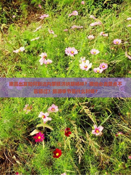 南昌出发如何到达内蒙额济纳胡杨林？哪些必去景点不容错过？旅游季节是什么时候？