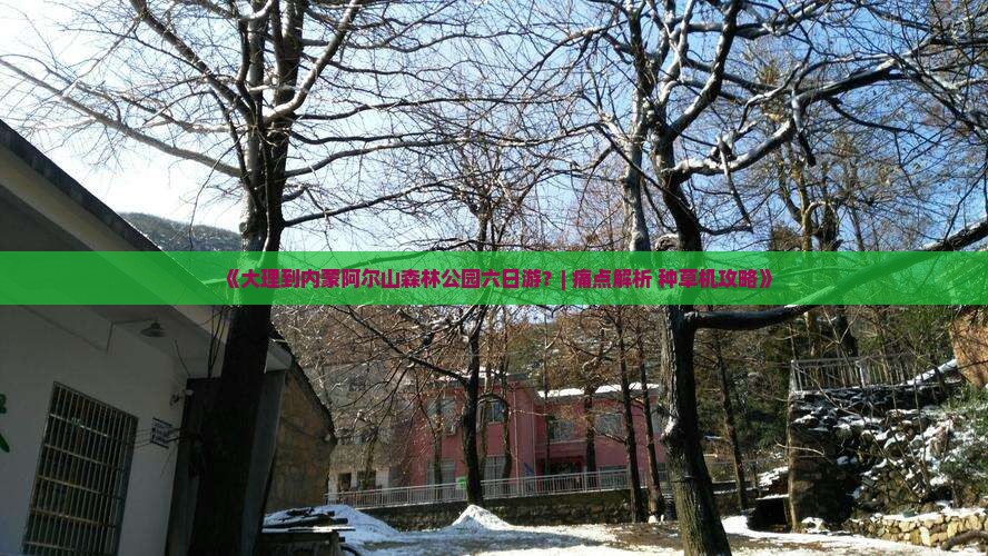 《大理到内蒙阿尔山森林公园六日游？| 痛点解析+种草机攻略》
