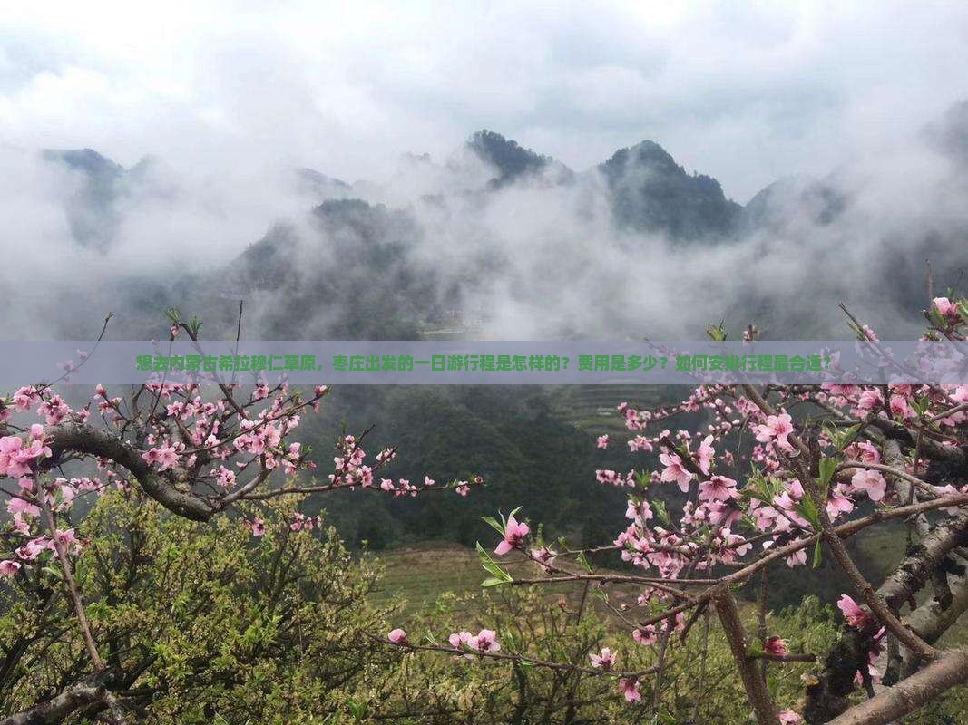 想去内蒙古希拉穆仁草原，枣庄出发的一日游行程是怎样的？费用是多少？如何安排行程最合适？