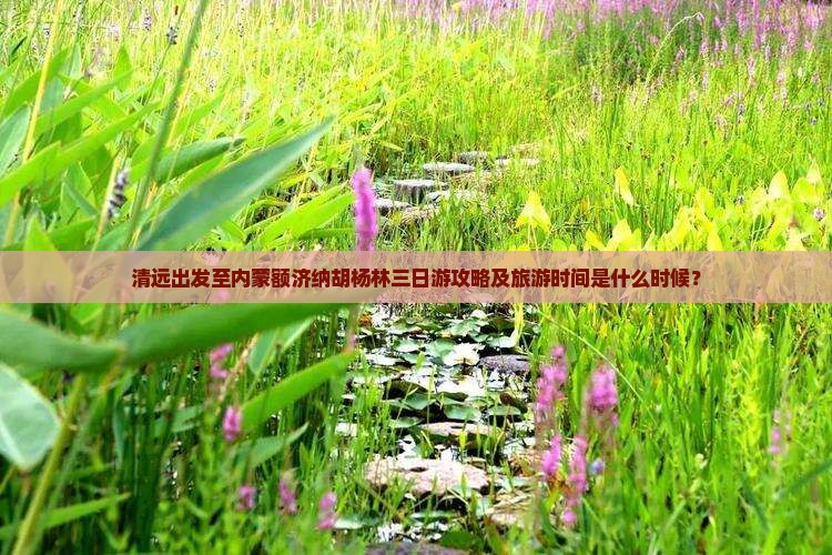 清远出发至内蒙额济纳胡杨林三日游攻略及旅游时间是什么时候？