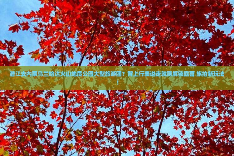 潜江去内蒙乌兰哈达火山地质公园大型旅游团？背上行囊说走就赚解锁露营+旅拍新玩法！