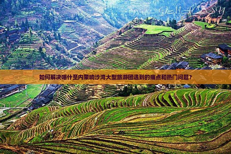 如何解决喀什至内蒙响沙湾大型旅游团遇到的痛点和热门问题？