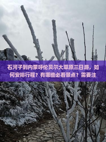 石河子到内蒙呼伦贝尔大草原三日游，如何安排行程？有哪些必看景点？需要注意什么？