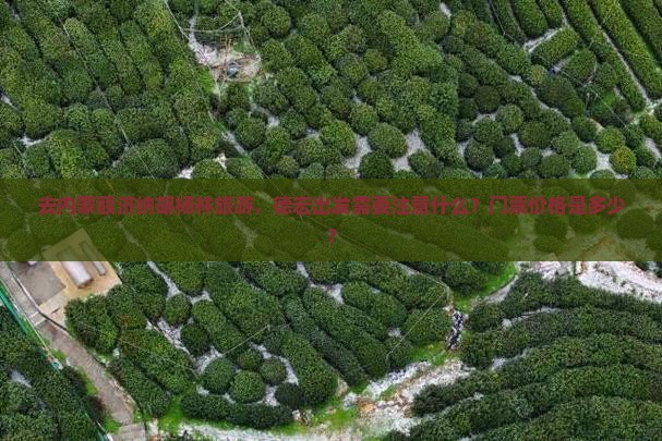 去内蒙额济纳胡杨林旅游，德宏出发需要注意什么？门票价格是多少？