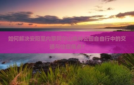 如何解决安阳至内蒙阿尔山森林公园自由行中的交通与住宿痛点？