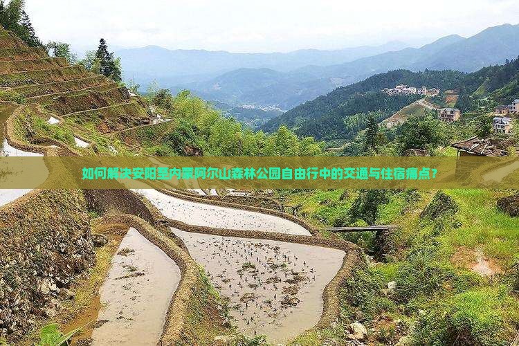 如何解决安阳至内蒙阿尔山森林公园自由行中的交通与住宿痛点？