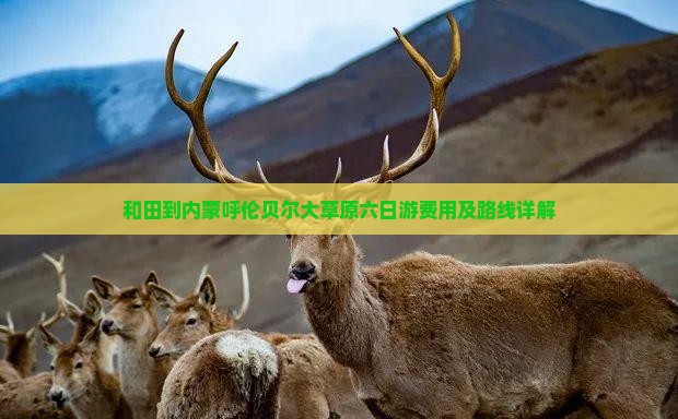 和田到内蒙呼伦贝尔大草原六日游费用及路线详解