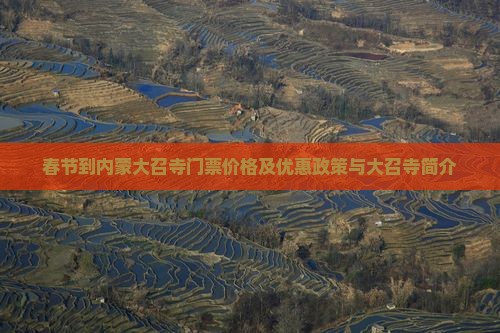 春节到内蒙大召寺门票价格及优惠政策与大召寺简介