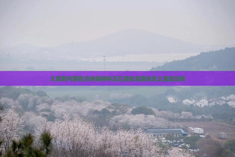 太原到内蒙额济纳胡杨林五日游自驾路线及公里数攻略