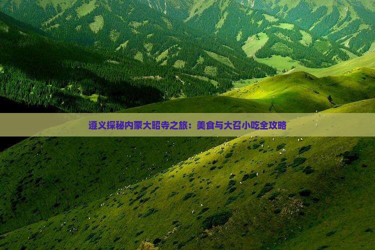 遵义探秘内蒙大昭寺之旅：美食与大召小吃全攻略