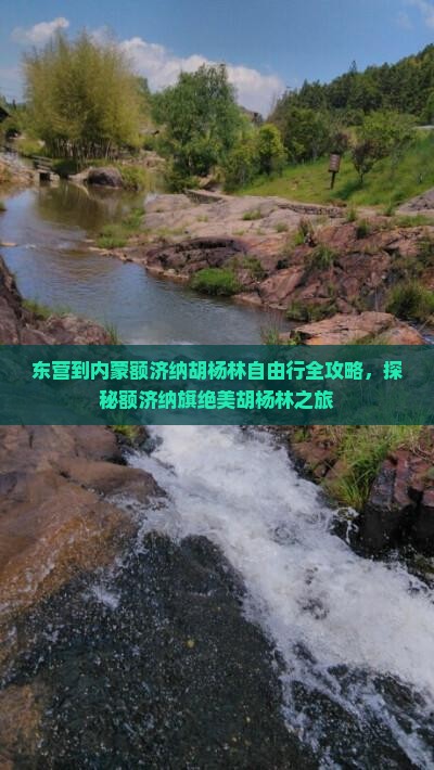 东营到内蒙额济纳胡杨林自由行全攻略，探秘额济纳旗绝美胡杨林之旅