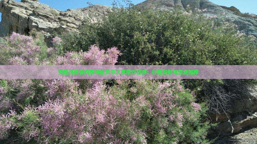 克拉玛依去内蒙呼伦贝尔大草原六日游：行程安排与景点推荐