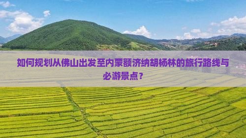 如何规划从佛山出发至内蒙额济纳胡杨林的旅行路线与必游景点？