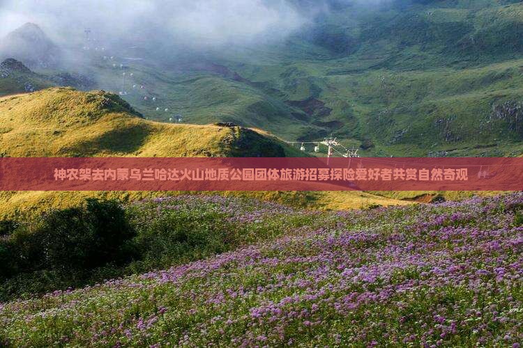 神农架去内蒙乌兰哈达火山地质公园团体旅游招募探险爱好者共赏自然奇观