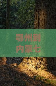 鄂州到内蒙七日游旅游攻略