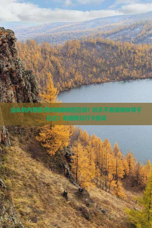 汕头到内蒙额济纳胡杨林四日游？秋天不看胡杨林等于白过？新增网红打卡热词