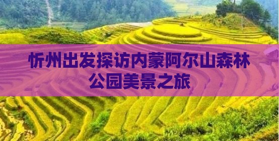 忻州出发探访内蒙阿尔山森林公园美景之旅