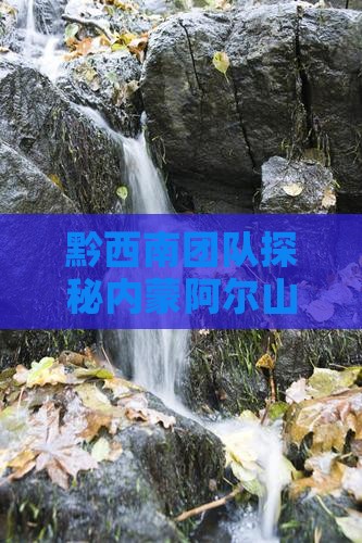 黔西南团队探秘内蒙阿尔山森林公园之旅