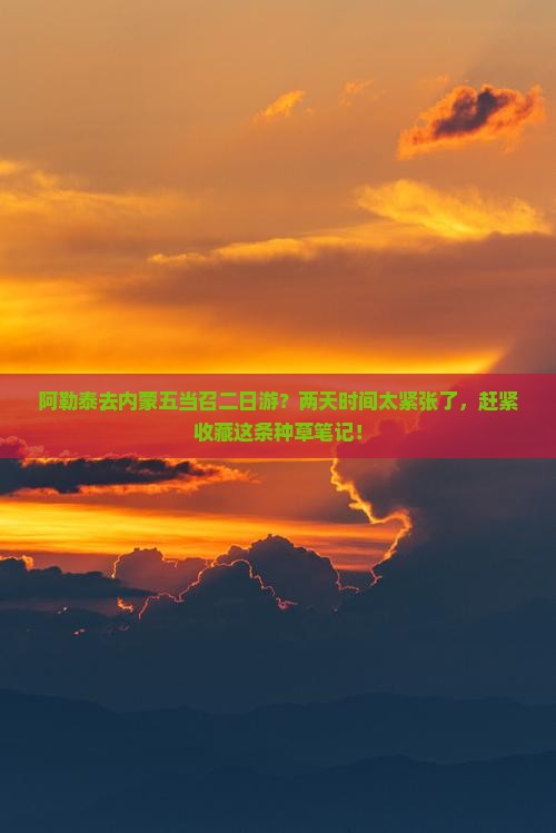 阿勒泰去内蒙五当召二日游？两天时间太紧张了，赶紧收藏这条种草笔记！