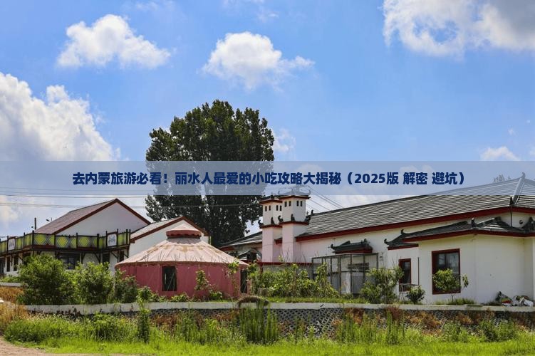 丽水去内蒙旅游小吃