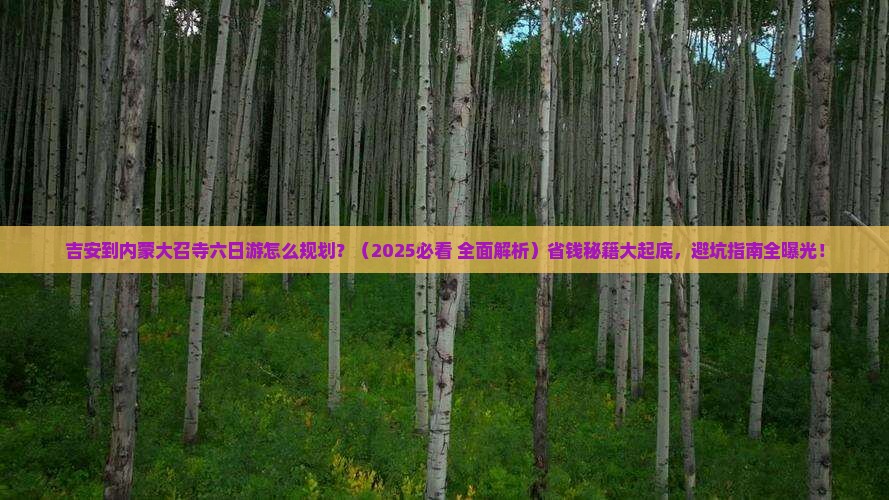 吉安到内蒙大召寺六日游