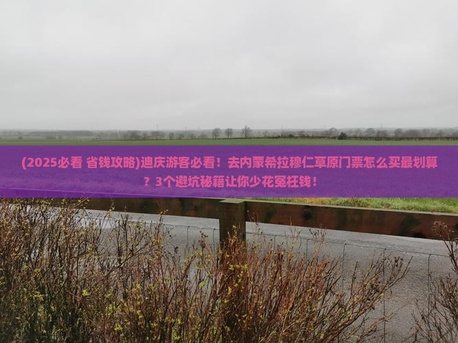 迪庆去内蒙希拉穆仁草原门票