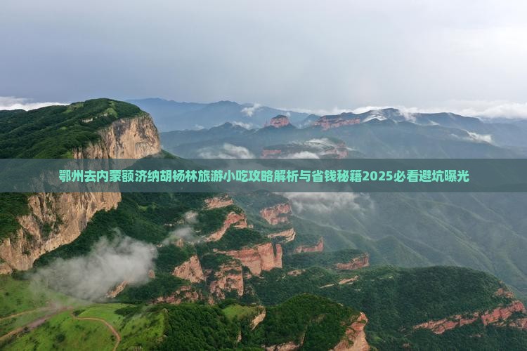 鄂州去内蒙额济纳胡杨林旅游小吃