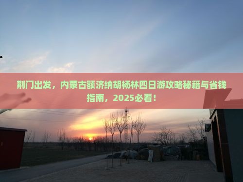 荆门到内蒙额济纳胡杨林四日游