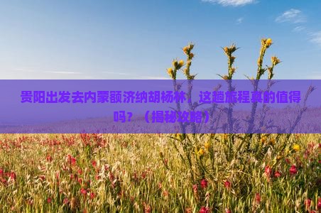 贵阳去内蒙额济纳胡杨林旅游