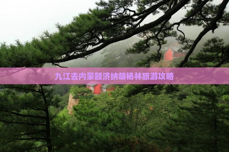 九江去内蒙额济纳胡杨林哪里玩
