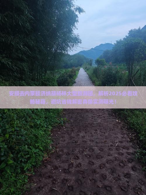 安顺去内蒙额济纳胡杨林大型旅游团