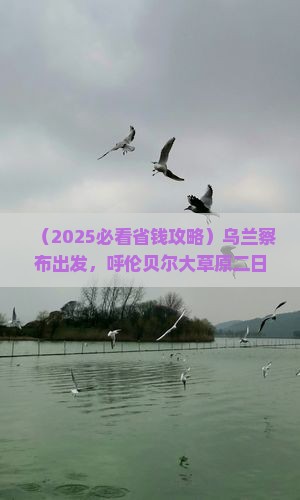 乌兰察布到内蒙呼伦贝尔大草原二日游