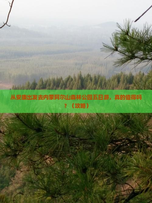 安康去内蒙阿尔山国家森林公园五日游