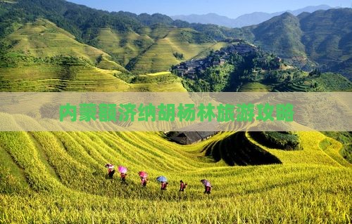 渭南到内蒙额济纳胡杨林攻略