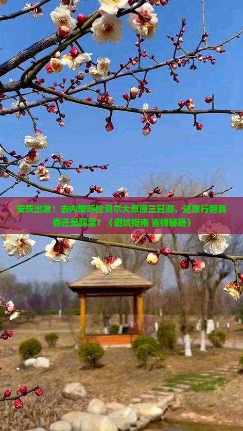 安庆去内蒙呼伦贝尔大草原三日游