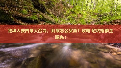 潍坊去内蒙大召寺门票