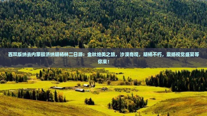 西双版纳去内蒙额济纳胡杨林二日游