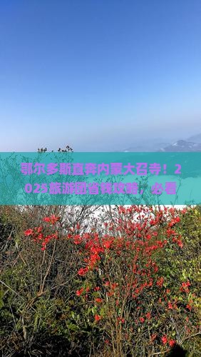 鄂尔多斯到内蒙大召寺大型旅游团