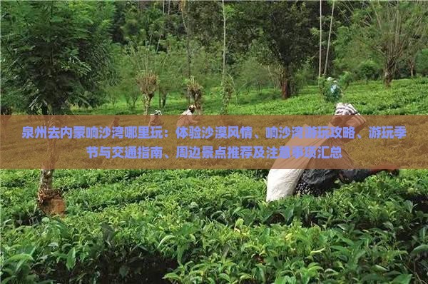 泉州去内蒙响沙湾哪里玩