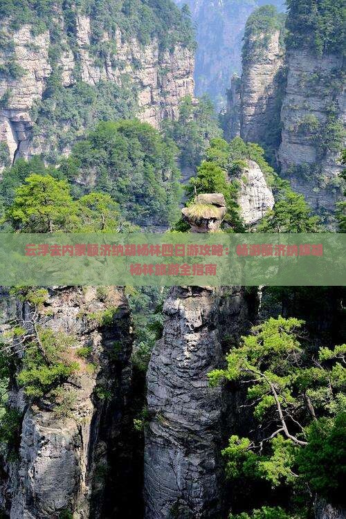 云浮去内蒙额济纳胡杨林四日游