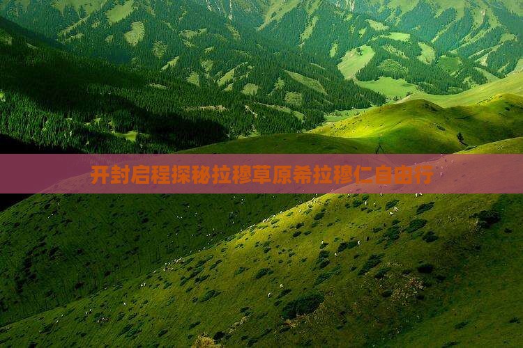 开封启程探秘拉穆草原希拉穆仁自由行