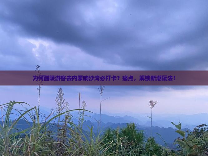 为何醴陵游客去内蒙响沙湾必打卡？痛点，解锁新潮玩法！