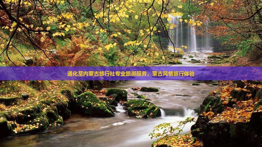 通化至内蒙古旅行社专业旅游服务，蒙古风情旅行体验