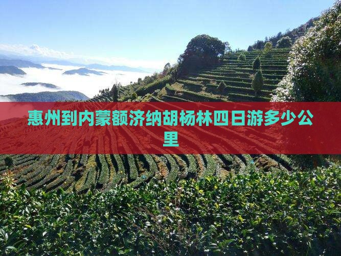 惠州到内蒙额济纳胡杨林四日游多少公里