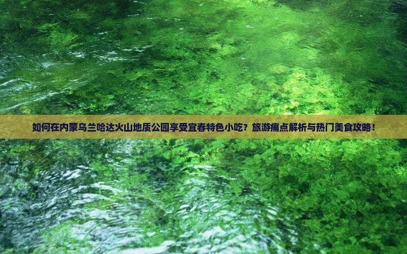 如何在内蒙乌兰哈达火山地质公园享受宜春特色小吃？旅游痛点解析与热门美食攻略！