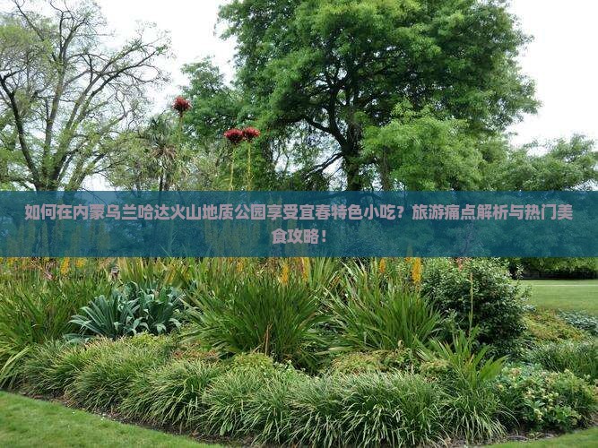 如何在内蒙乌兰哈达火山地质公园享受宜春特色小吃？旅游痛点解析与热门美食攻略！