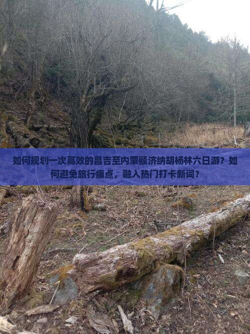 如何规划一次高效的昌吉至内蒙额济纳胡杨林六日游？如何避免旅行痛点，融入热门打卡新词？